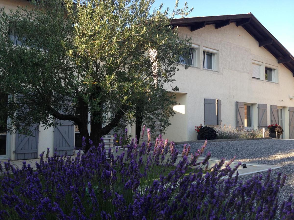 Bed and Breakfast Aux Sources D'Hossegor Сорт-Осгор Экстерьер фото